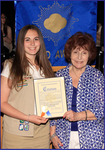 gold award.jpg